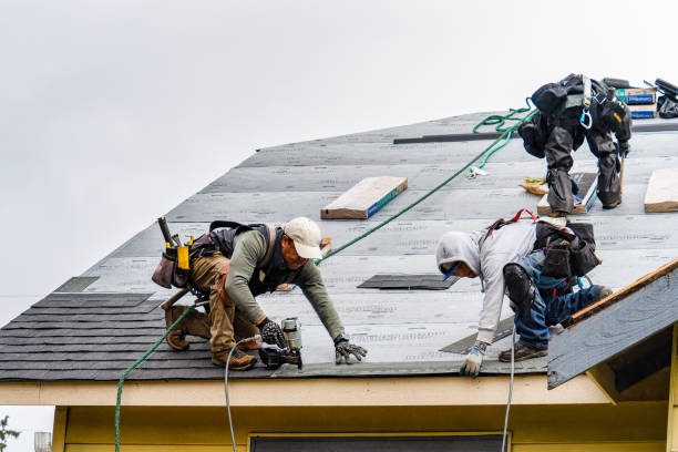 Professional Roofing technician working in Lake George, CO