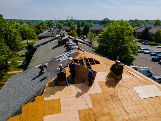 Trusted Storm Damage Roof Repair service in Lake George, CO - Brentwood Metal Roofing